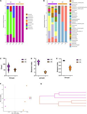 Quercetin positively affects gene expression profiles and metabolic pathway of antibiotic-treated mouse gut microbiota